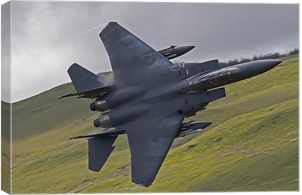 F15 Cad West Canvas Print by Oxon Images