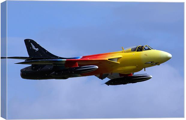 Miss Demeanour Canvas Print by Oxon Images