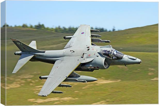 Harrier Jump Jet Cad West Canvas Print by Oxon Images