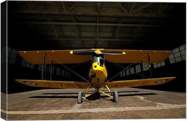 Tiger Moth Ready for Flight Canvas Print by Oxon Images