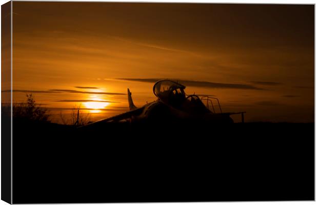 Harrier at sunset 2 Canvas Print by Oxon Images