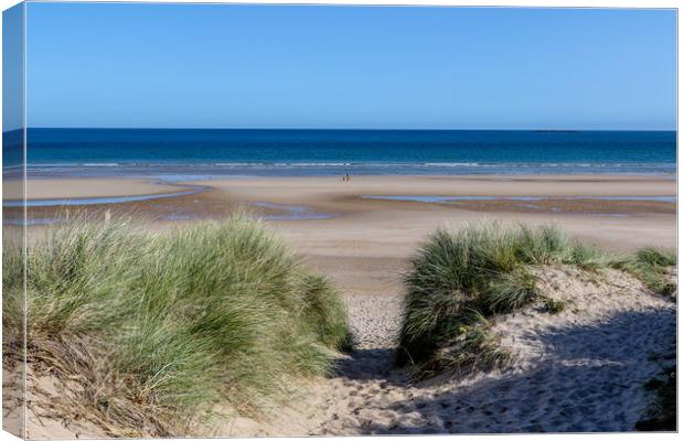 Sand Dunes at Bamburgh Canvas Print by Oxon Images