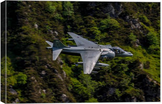 Harrier GR9 flying low Canvas Print by Oxon Images