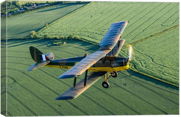 Tiger Moth Air to Air Canvas Print by Oxon Images