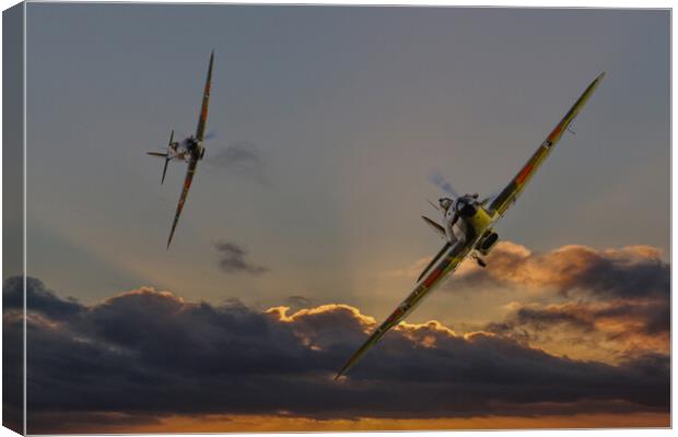 Hurricane Tail Chase Canvas Print by Oxon Images