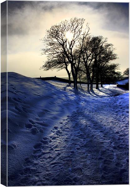 Snowy Trees, Berwick Upon Tweed Canvas Print by Toon Photography