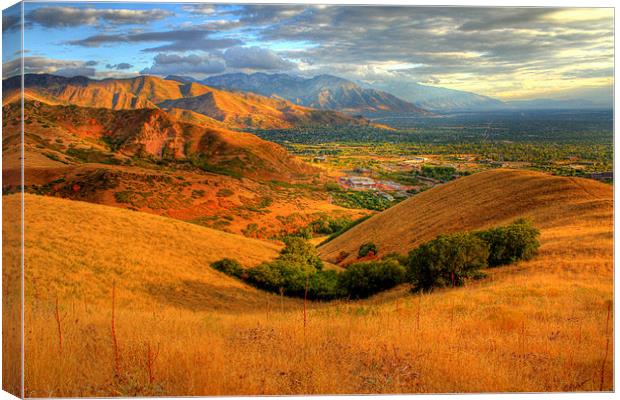 Hills of Wasatch National Forest Canvas Print by Viraj Nagar