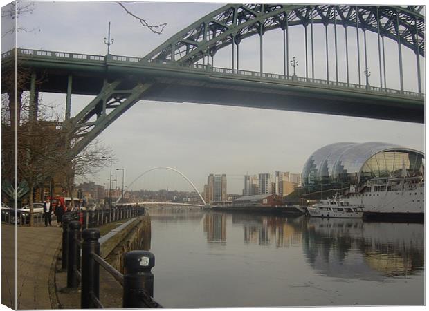 Newcastle Curves Canvas Print by Heather Gale