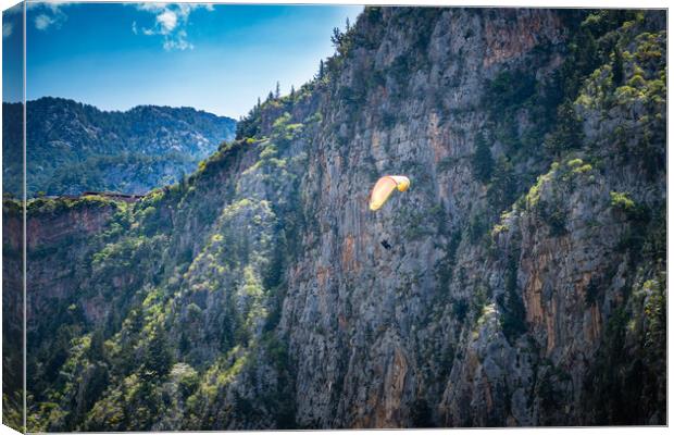 Paraglider in the mountains Canvas Print by David Wilkins