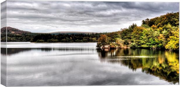 Sharp Tor Dartmoor Canvas Print by David Wilkins