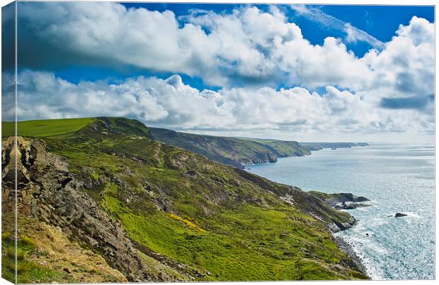 Coastline Cornwall Canvas Print by David Wilkins