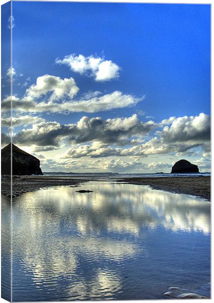Reflections Canvas Print by David Wilkins