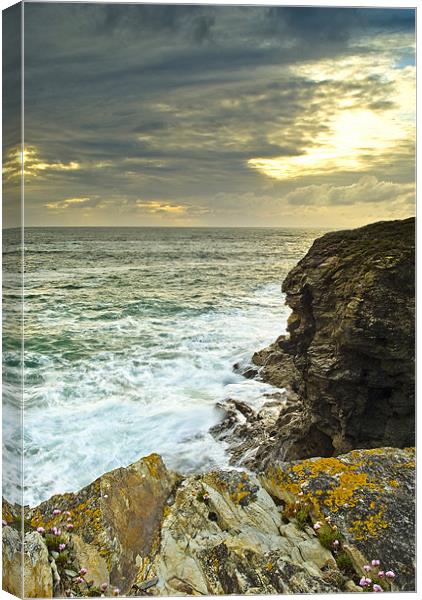 Port Gaverne Seathrift Canvas Print by David Wilkins