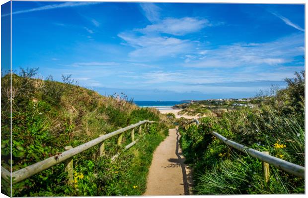 Pathway to Godrevy Canvas Print by David Wilkins