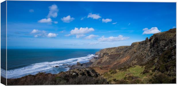 Strangles Beach Canvas Print by David Wilkins