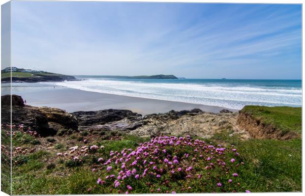 Polzeath Sea Thrift Canvas Print by David Wilkins