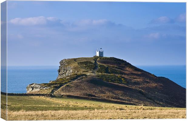 Boscastle Lookout Tower Canvas Print by David Wilkins