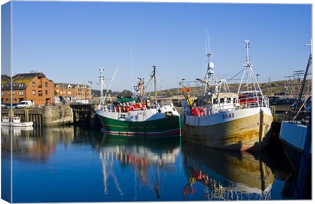 Padstow Harbour Canvas Print by David Wilkins