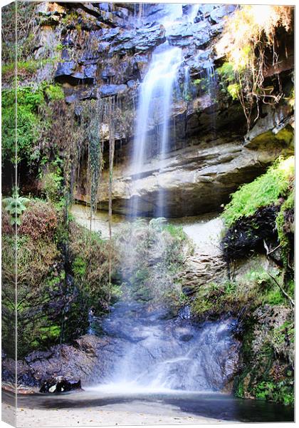 Secluded Tranquil Waterfall Canvas Print by Clare FitzGerald