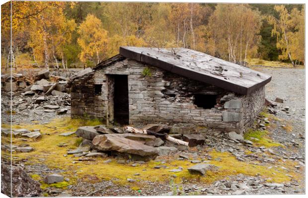 Derelict Stone Cottage Canvas Print by David Hare