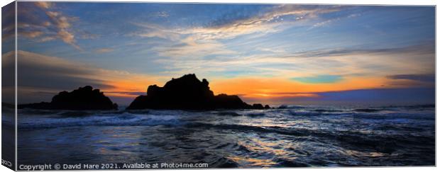Big Sur Sunset Canvas Print by David Hare