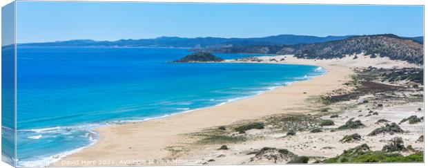 Cypriot Beach Panorama Canvas Print by David Hare