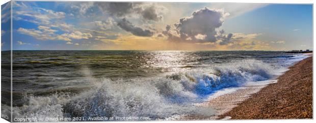 Fisherman's Beach Canvas Print by David Hare