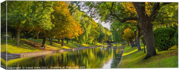 Royal Military Canal, Hythe. Canvas Print by David Hare