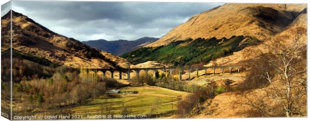 Glenfinnan Viaduct Canvas Print by David Hare