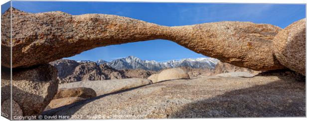 Lathe Arch Canvas Print by David Hare