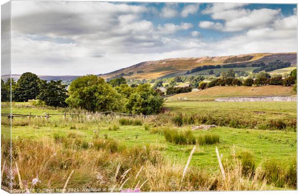 Yorkshire Dales Canvas Print by David Hare