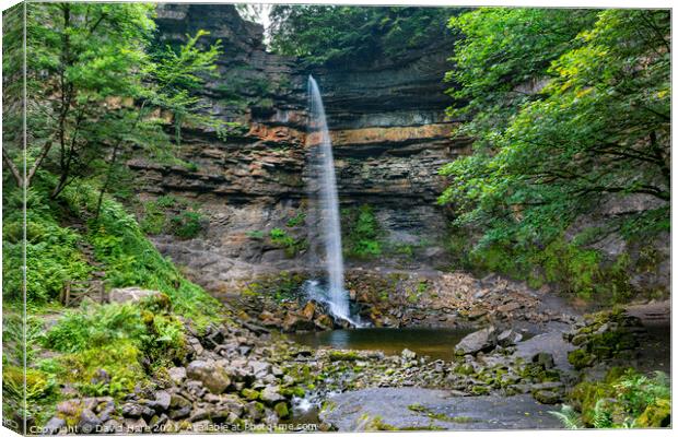 Hardraw Force Canvas Print by David Hare