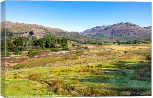 Hardknott Pass Canvas Print by David Hare