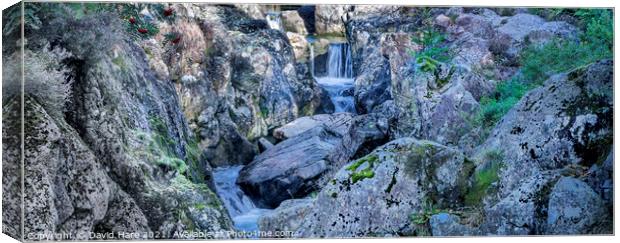 Duddon Falls Canvas Print by David Hare