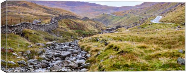Wrynose Pass Canvas Print by David Hare