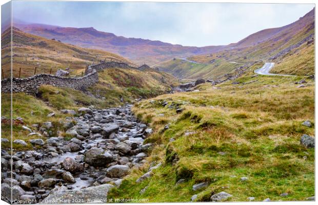 Wrynose Pass Canvas Print by David Hare