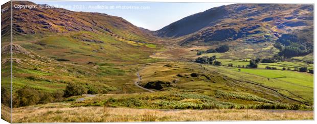 Hardknott Pass Canvas Print by David Hare