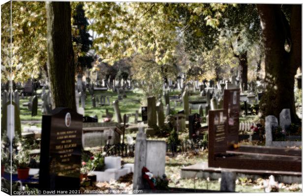 Kensal Green Cemetery Canvas Print by David Hare