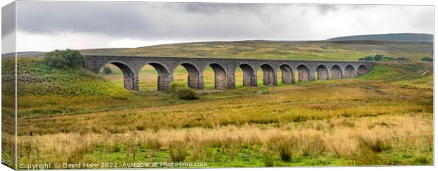 Dandrymire viaduct. Canvas Print by David Hare