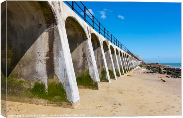 Sunny Sands Arches Canvas Print by David Hare