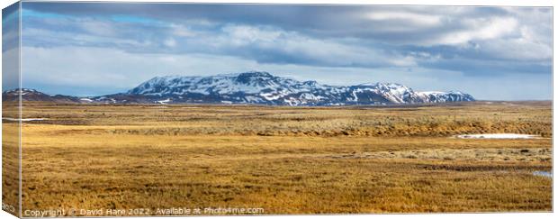 Pingvellir Canvas Print by David Hare