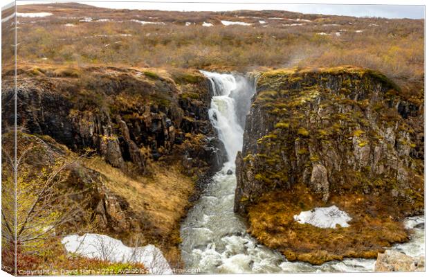 Fardagfoss Canvas Print by David Hare