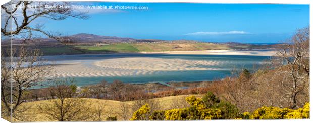 Torrisdale Bay Canvas Print by David Hare