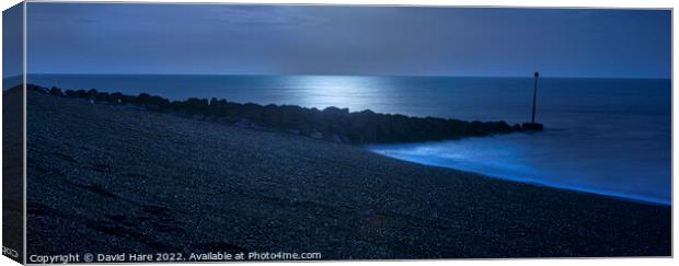 Blue Moonlight Canvas Print by David Hare