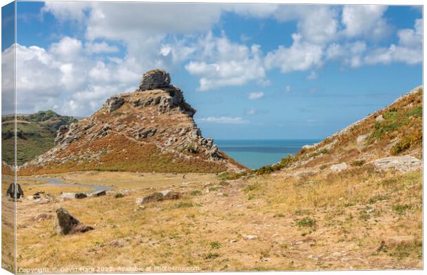Valley of Rocks Canvas Print by David Hare