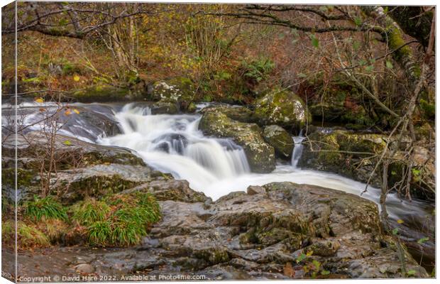 Aira High Force Waterfall Canvas Print by David Hare
