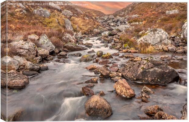 Highland rapids Canvas Print by David Hare
