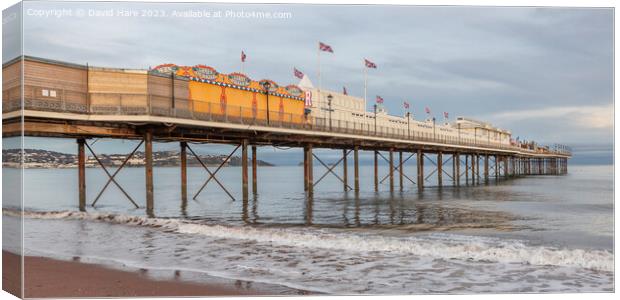 Paignton Pier Canvas Print by David Hare