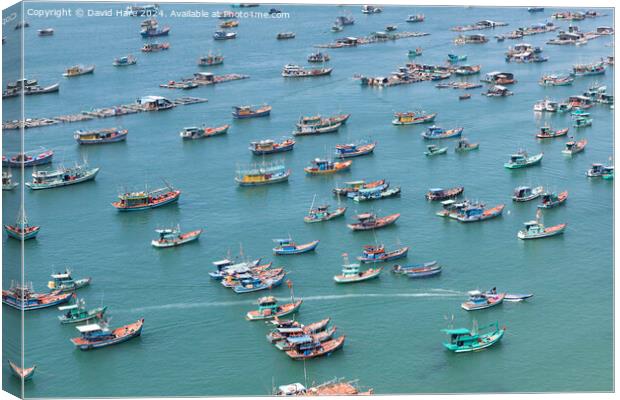 Fishing Fleet Canvas Print by David Hare