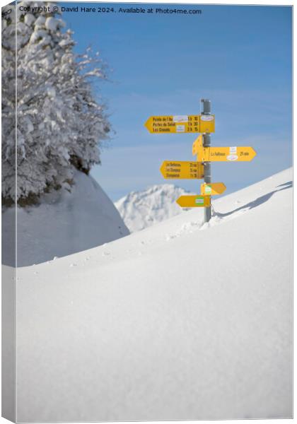 Piste Signs Canvas Print by David Hare